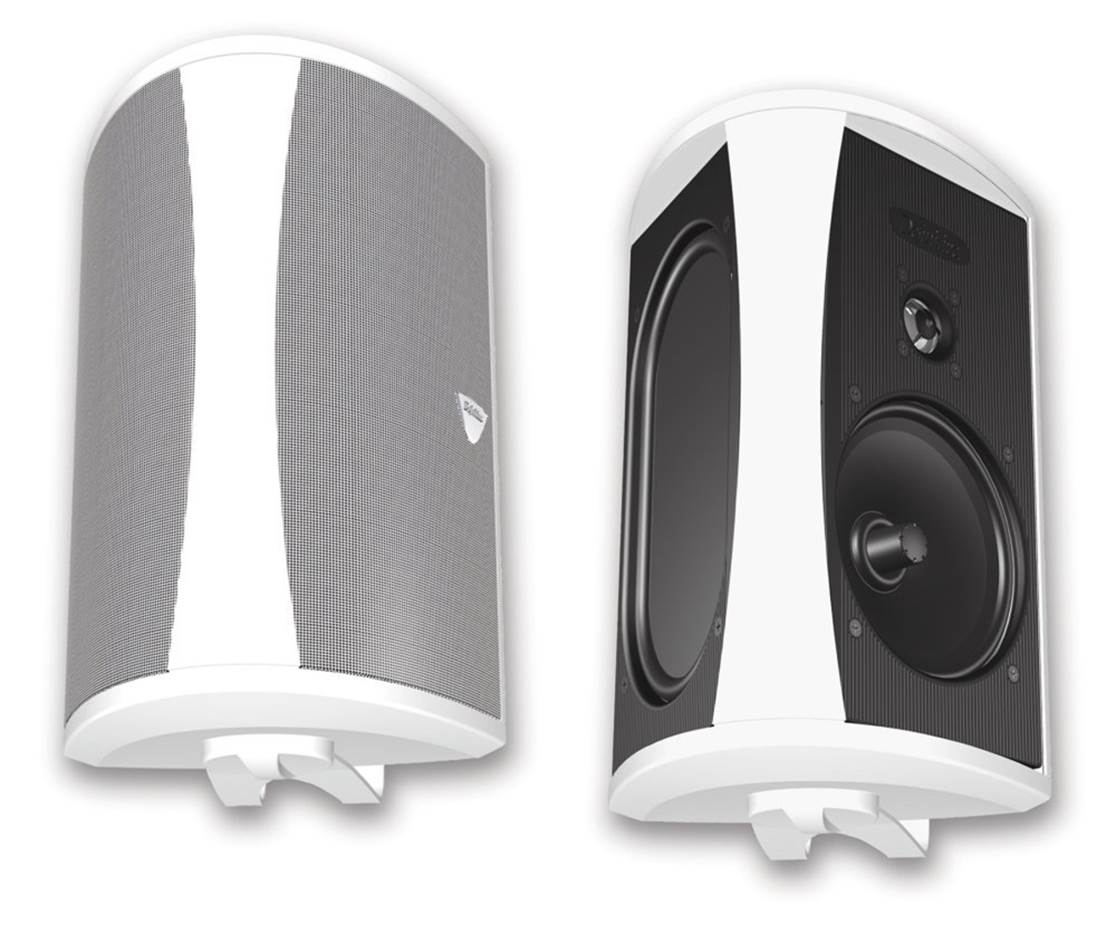 Definitive Technology AW 6500 Outdoor Speaker
